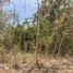  Land for sale in KING POWER Phuket, Wichit, Wichit