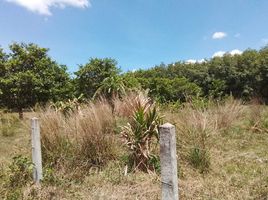  Grundstück zu verkaufen in Thalang, Phuket, Thep Krasattri