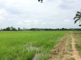  Land for sale in Mueang Kamphaeng Phet, Kamphaeng Phet, Songtham, Mueang Kamphaeng Phet