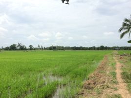  Grundstück zu verkaufen in Mueang Kamphaeng Phet, Kamphaeng Phet, Songtham