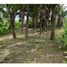  Grundstück zu verkaufen in Jose Santos Guardiola, Bay Islands, Jose Santos Guardiola