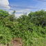  Land for sale in Khuan Maphrao, Mueang Phatthalung, Khuan Maphrao