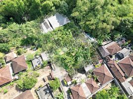 Grundstück zu verkaufen in Tabanan, Bali, Tabanan, Tabanan