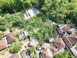  Grundstück zu verkaufen in Tabanan, Bali, Tabanan, Tabanan, Bali, Indonesien