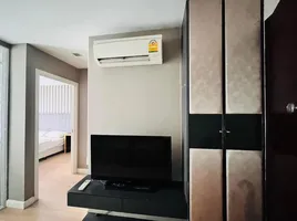 1 Bedroom Condo for rent at Mayfair Place Sukhumvit 64, Bang Chak, Phra Khanong