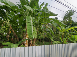  Grundstück zu verkaufen in Watthana, Bangkok, Khlong Tan Nuea