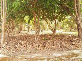  Land for sale in Chiang Mai, Huai Kaeo, Mae On, Chiang Mai