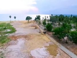  Grundstück zu verkaufen in Takua Thung, Phangnga, Khok Kloi