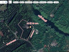  Land for sale in Makham, Chanthaburi, Wang Saem, Makham