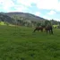  Grundstück zu verkaufen in Valdivia, Los Rios, Los Lagos, Valdivia, Los Rios, Chile