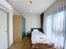 2 Schlafzimmer Wohnung zu vermieten im The BASE Sukhumvit 50, Phra Khanong
