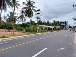  Grundstück zu verkaufen in Koh Samui, Surat Thani, Maret