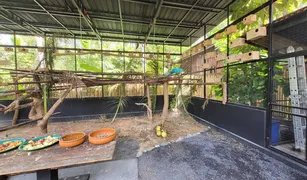 6 Schlafzimmern Hotel / Resort zu verkaufen in Lipa Noi, Surat Thani 