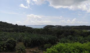 N/A Land for sale in Pa Khlok, Phuket 