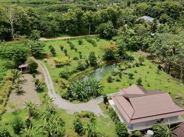 ขายที่ดิน ใน ทองผาภูมิ กาญจนบุรี, ลิ่นถิ่น, ทองผาภูมิ, กาญจนบุรี, ไทย