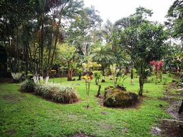  Land for sale in Upala, Alajuela, Upala