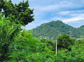  Grundstück zu verkaufen in Koh Samui, Surat Thani, Bo Phut