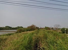 在Bang Pakong, 北柳出售的 土地, Hom Sin, Bang Pakong