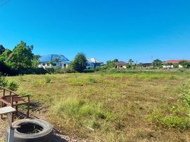  Land for sale in Klaeng, Rayong, Chak Phong, Klaeng