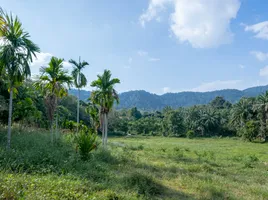  Grundstück zu verkaufen in Nong Thale, Krabi, Nong Thale