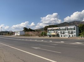 2 Schlafzimmer Ganzes Gebäude zu verkaufen in Khao Kho, Phetchabun, Khaem Son, Khao Kho