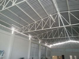 Studio Warehouse for rent in Samut Prakan, Bang Chalong, Bang Phli, Samut Prakan
