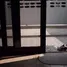 บ้านเดี่ยว 3 ห้องนอน ให้เช่า ในทำเล ลุมพินี, กรุงเทพมหานคร, ลุมพินี
