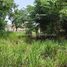  Land for sale in Na Wang Hin, Pattaya, Na Wang Hin, Phanat Nikhom