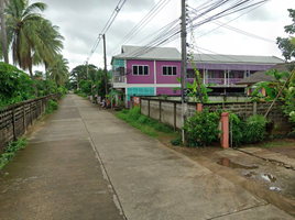  Land for sale in Nan, Fai Kaeo, Phu Phiang, Nan