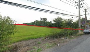 N/A Grundstück zu verkaufen in Lam Ta Sao, Phra Nakhon Si Ayutthaya 