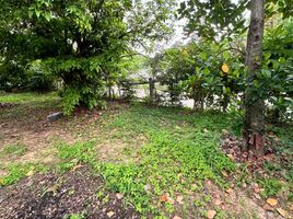  Land for sale in Nikhom Sang Ton-Eng Lam Dom Noi, Sirindhorn, Nikhom Sang Ton-Eng Lam Dom Noi