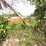  Land for sale in Ru Samilae, Mueang Pattani, Ru Samilae