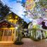 ร้านขายของ สตูดิโอ ให้เช่า ในทำเล ฟ้าฮ่าม, เชียงใหม่, ฟ้าฮ่าม