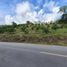 Land for sale in Takua Thung Phangnga, Khlong Khian, Takua Thung, Phangnga