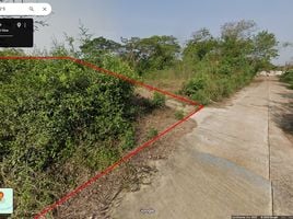  Land for sale in Lampang, Chomphu, Mueang Lampang, Lampang