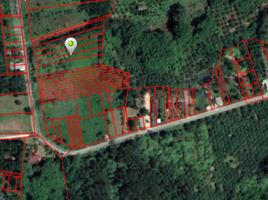  Land for sale in Bang Nai Si, Takua Pa, Bang Nai Si