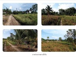  Land for sale in Takua Pa, Phangnga, Bang Muang, Takua Pa