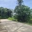  Land for sale in Layan Beach, Choeng Thale, Choeng Thale