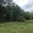  Land for sale in Bo Thong, Chon Buri, Wat Suwan, Bo Thong