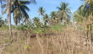 芭提雅 Khao Mai Kaeo N/A 土地 售 