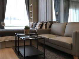 Studio Condo for rent at Noble Revolve Ratchada, Huai Khwang, Huai Khwang