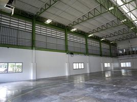 Studio Warehouse for rent in Suvarnabhumi Airport, Nong Prue, Lat Krabang