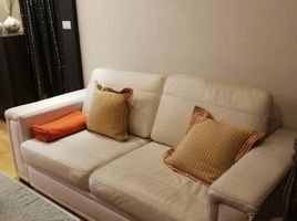 1 Schlafzimmer Appartement zu verkaufen im The Amethyst Sukhumvit 39, Khlong Tan Nuea, Watthana