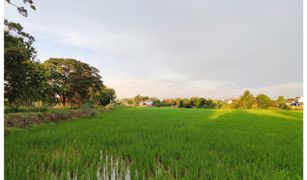 N/A Land for sale in Ban Du, Chiang Rai 