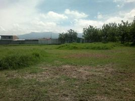  Land for sale in Heredia, Heredia, Heredia