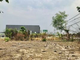  Land for sale in Makluea Kao, Sung Noen, Makluea Kao