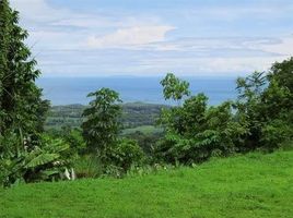  Grundstück zu verkaufen in Osa, Puntarenas, Osa, Puntarenas