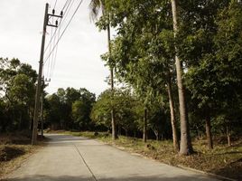  Grundstück zu verkaufen in Koh Samui, Surat Thani, Maenam