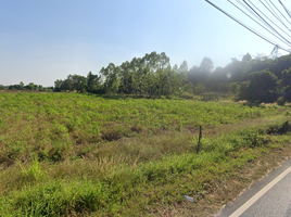  Grundstück zu verkaufen in Mueang Nakhon Ratchasima, Nakhon Ratchasima, Suranari