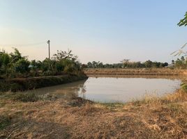  Land for sale in Maha Sarakham, Koeng, Mueang Maha Sarakham, Maha Sarakham